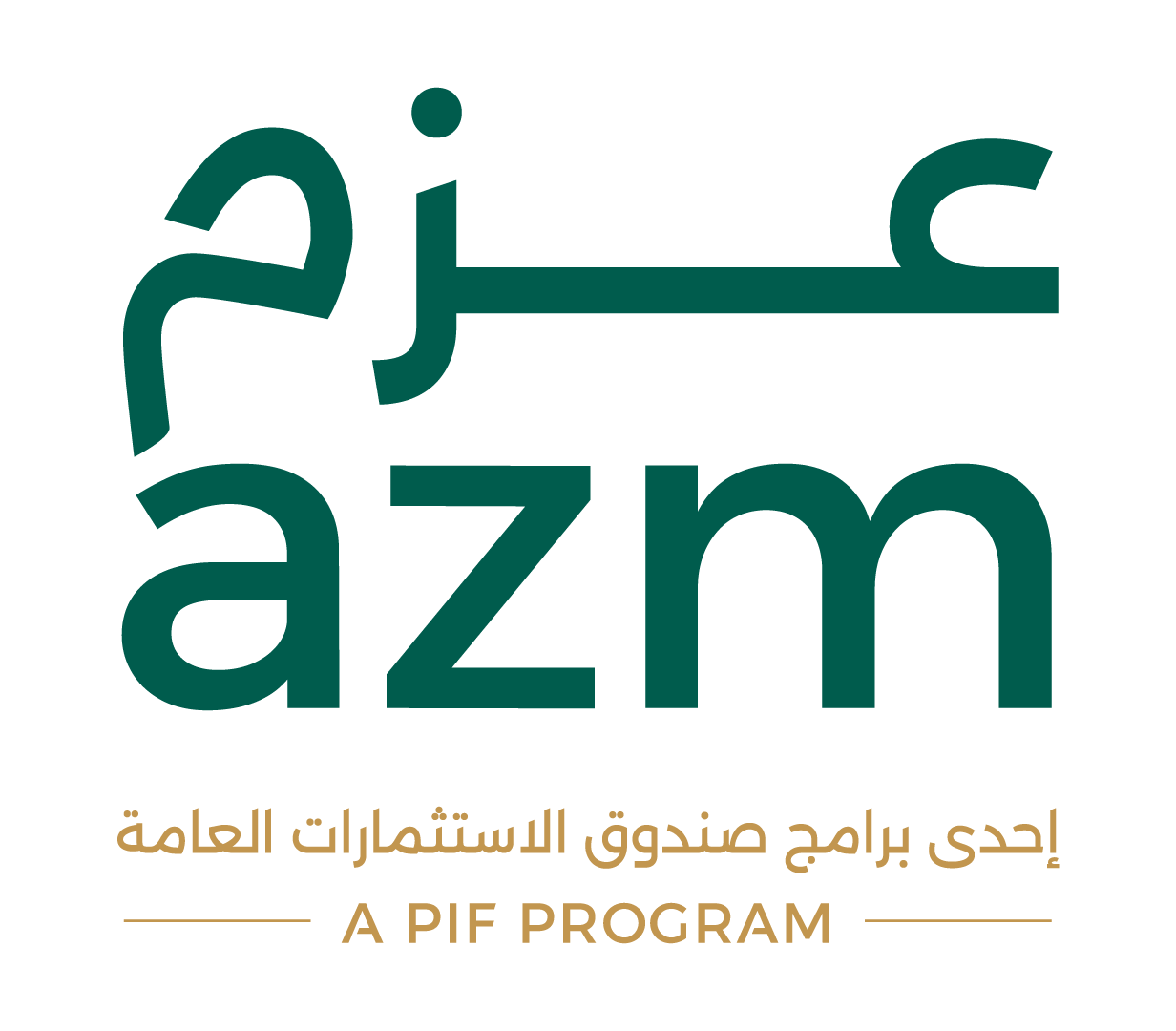 AZM Academy Logo